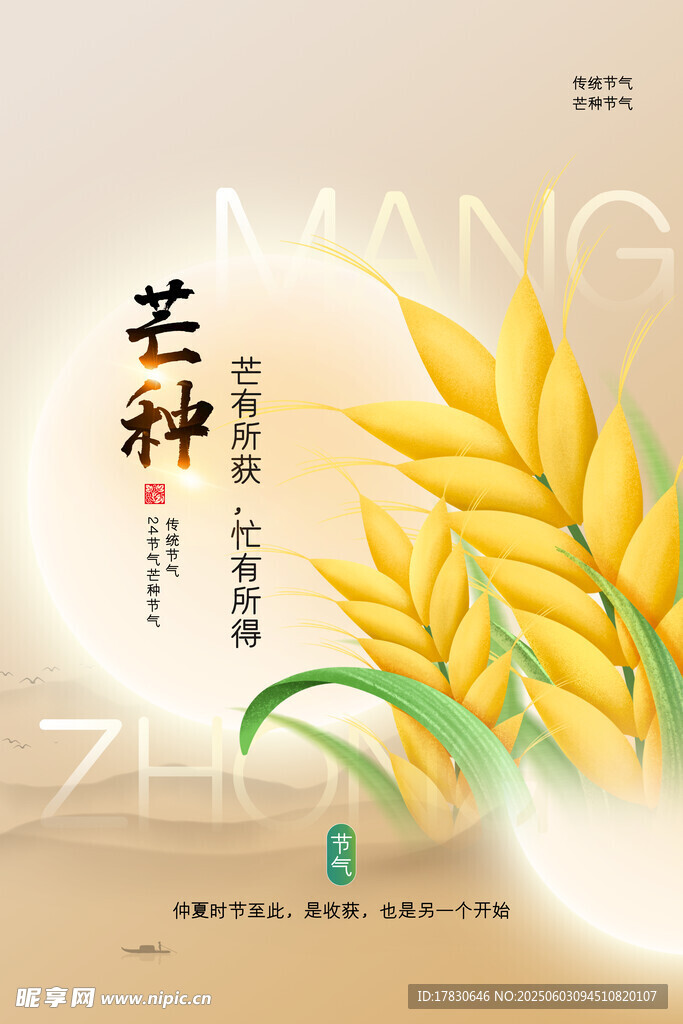 芒种海报