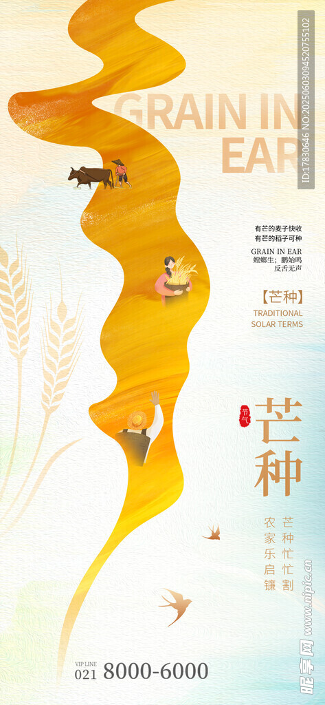 芒种海报