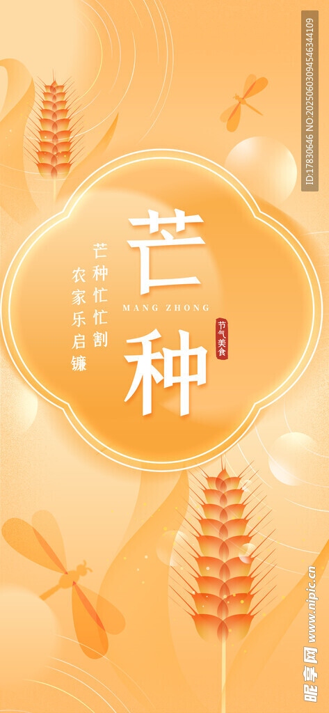 芒种海报