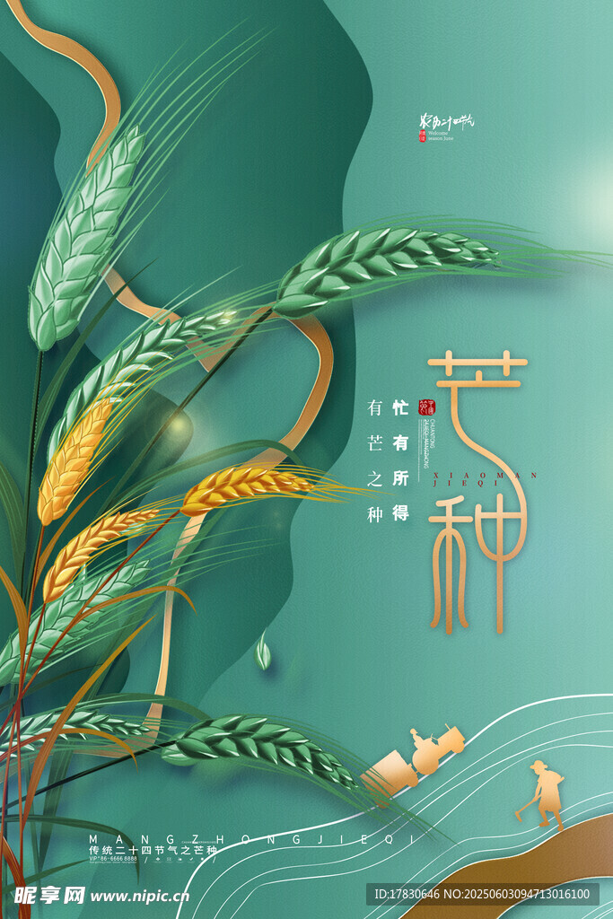 芒种海报