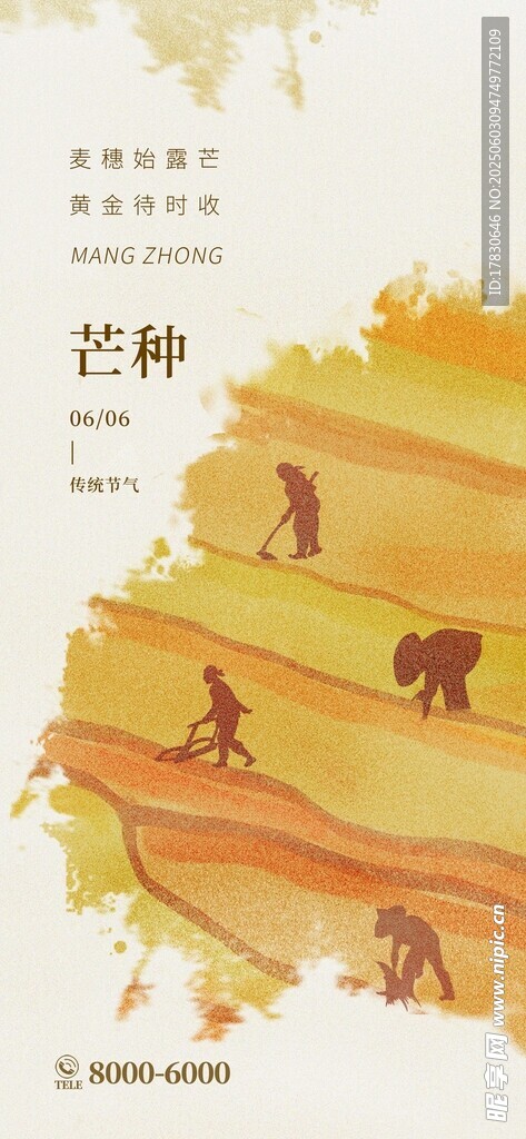 芒种海报