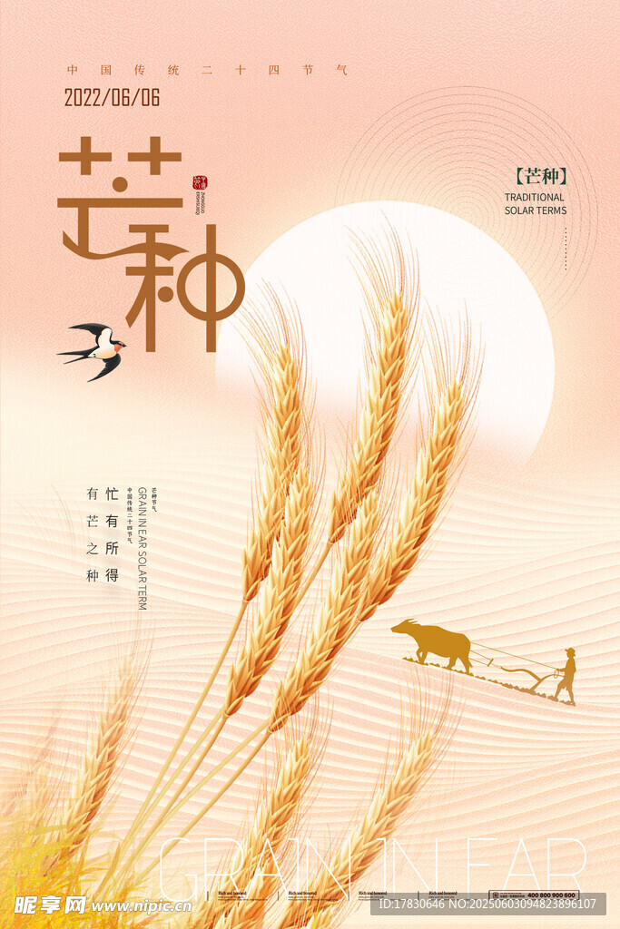 芒种海报
