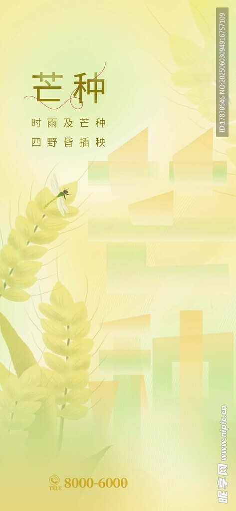 芒种海报