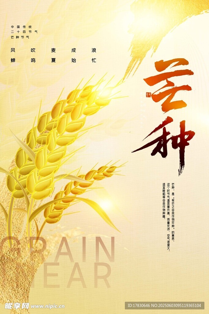 芒种海报