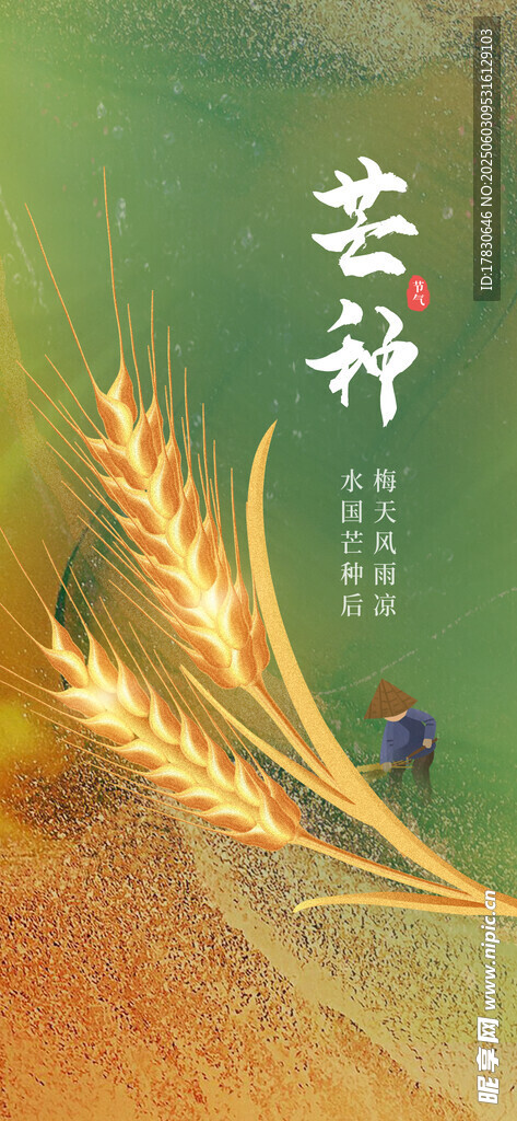 芒种海报
