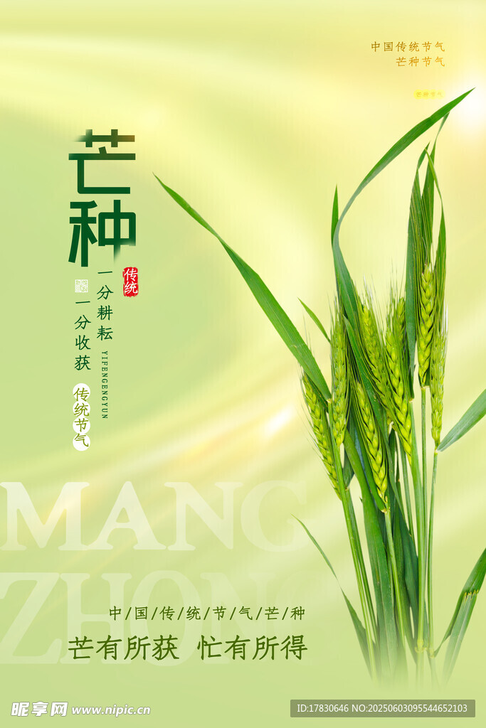 芒种海报