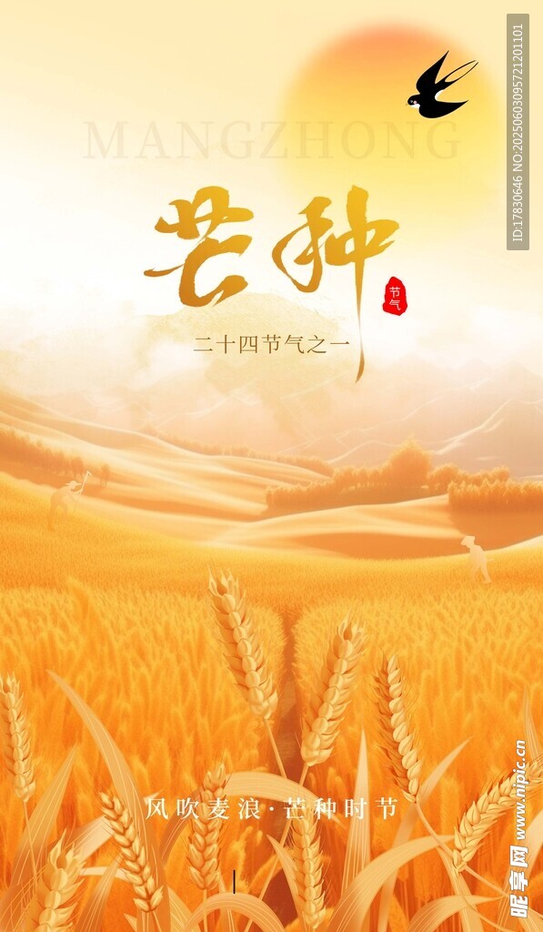芒种海报