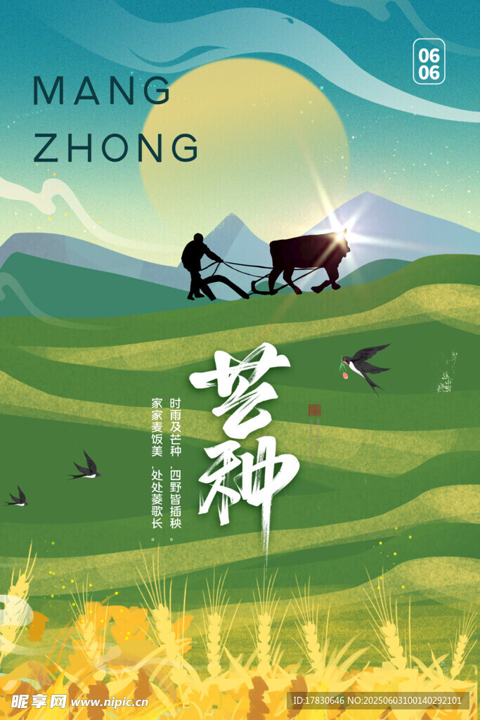 芒种海报
