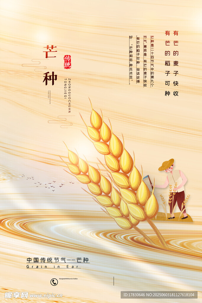 芒种海报