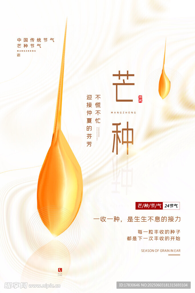 芒种海报