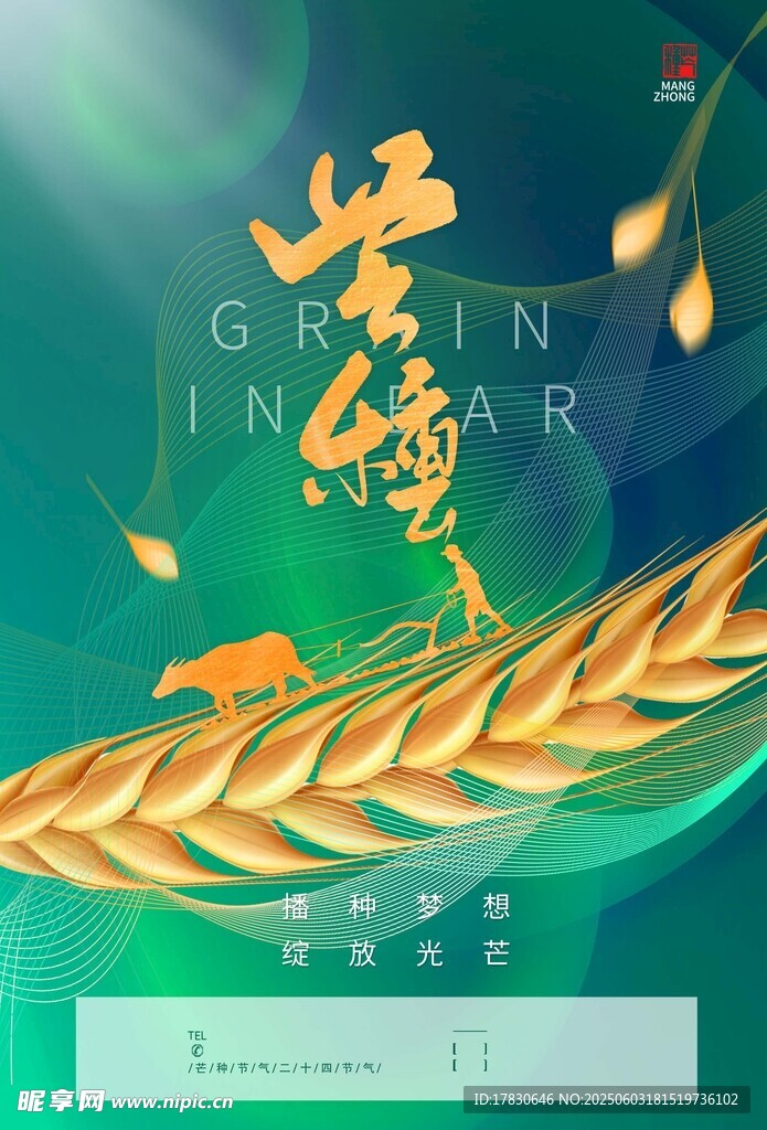 芒种海报