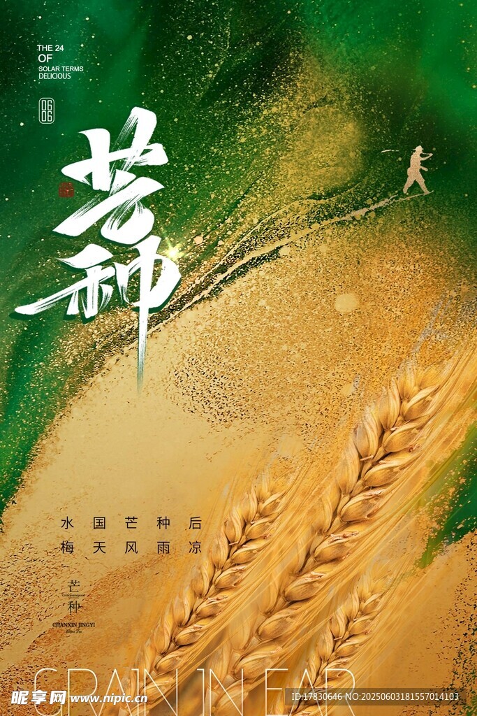 芒种海报