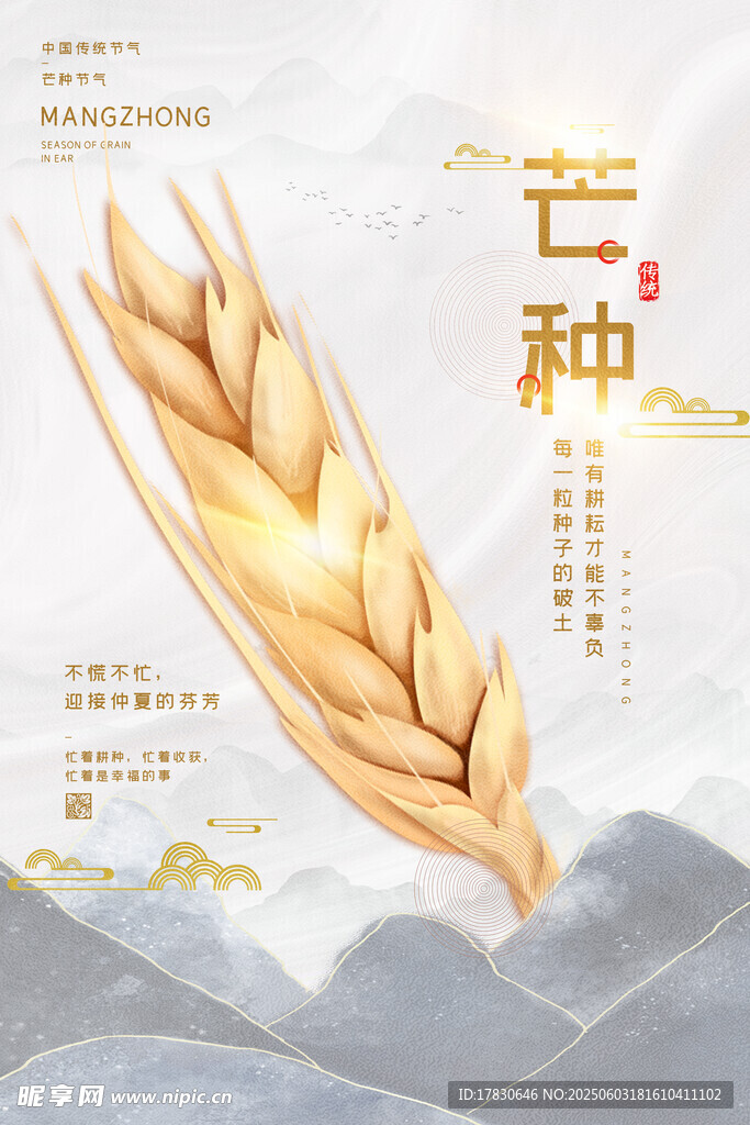 芒种海报