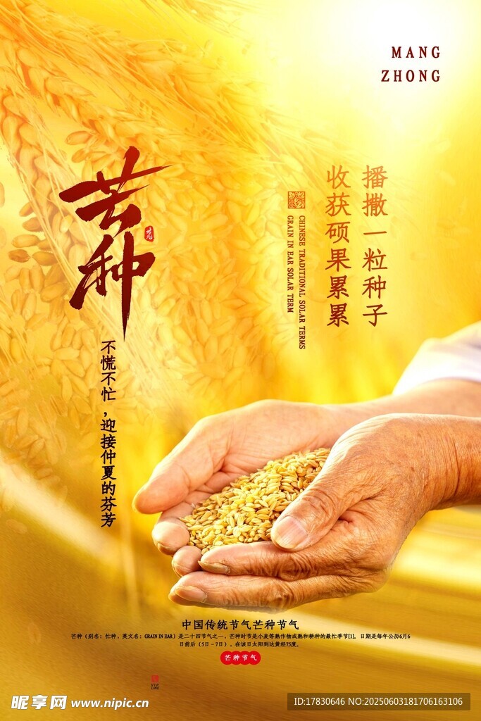 芒种海报