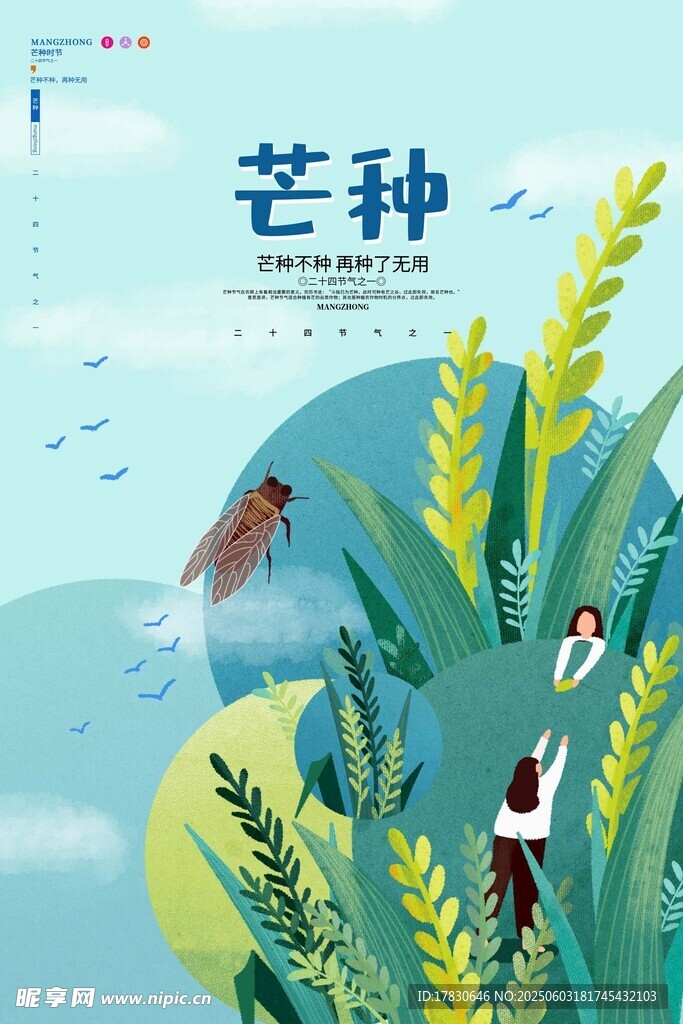 芒种海报