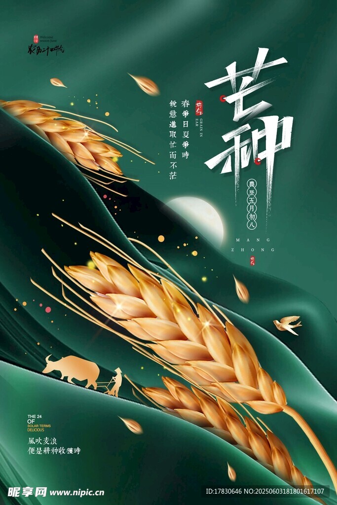 芒种海报