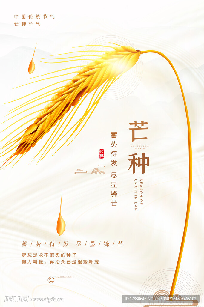 芒种海报