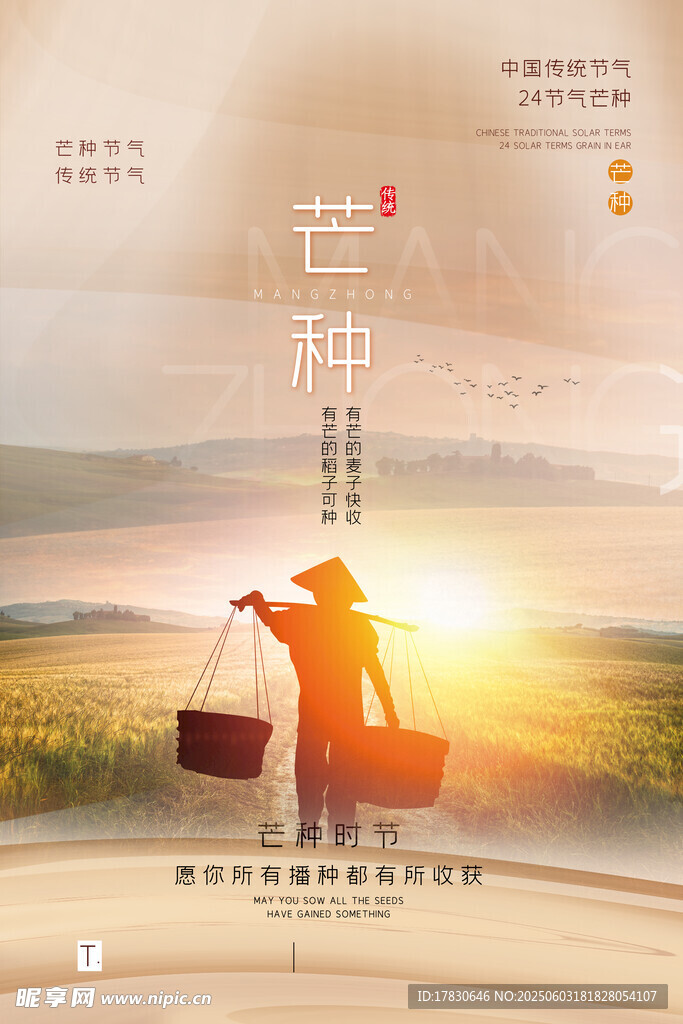 芒种海报