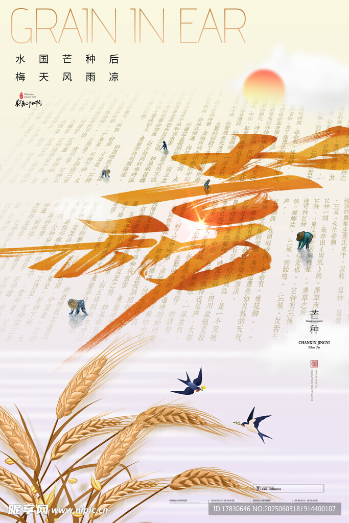 芒种海报