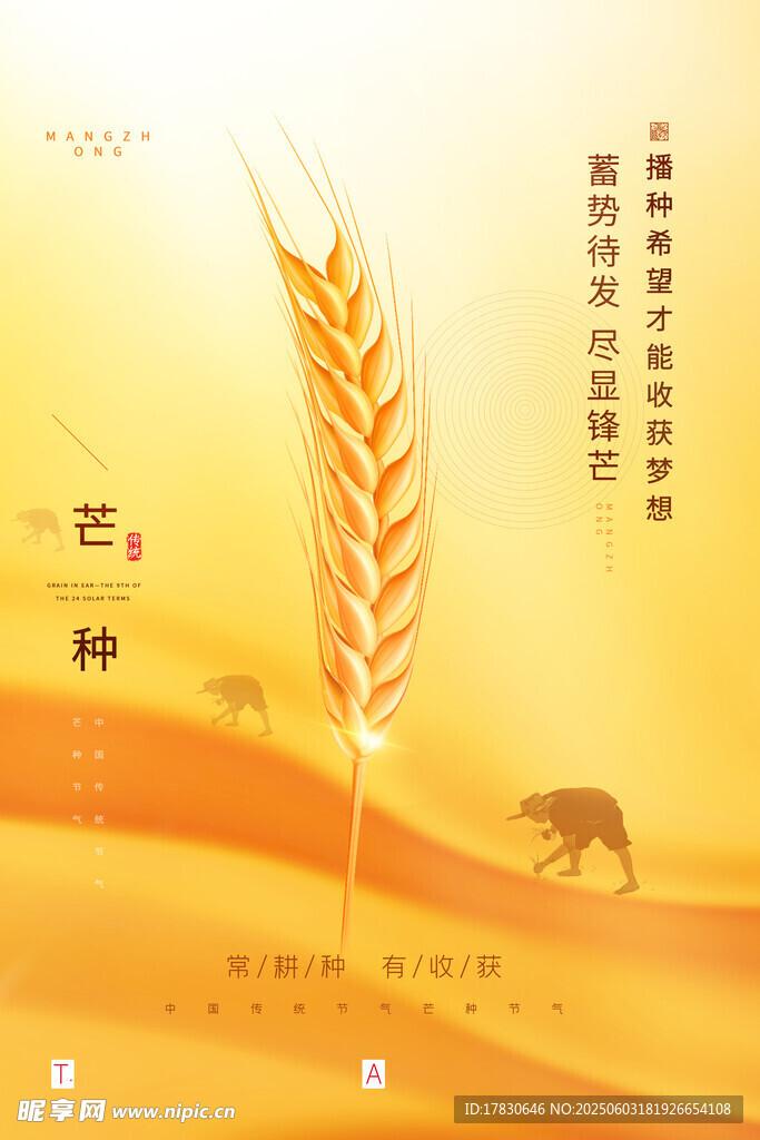 芒种海报