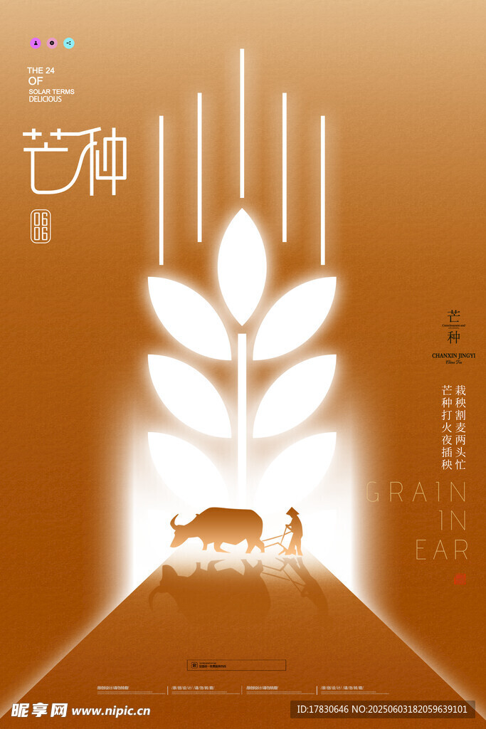 芒种海报