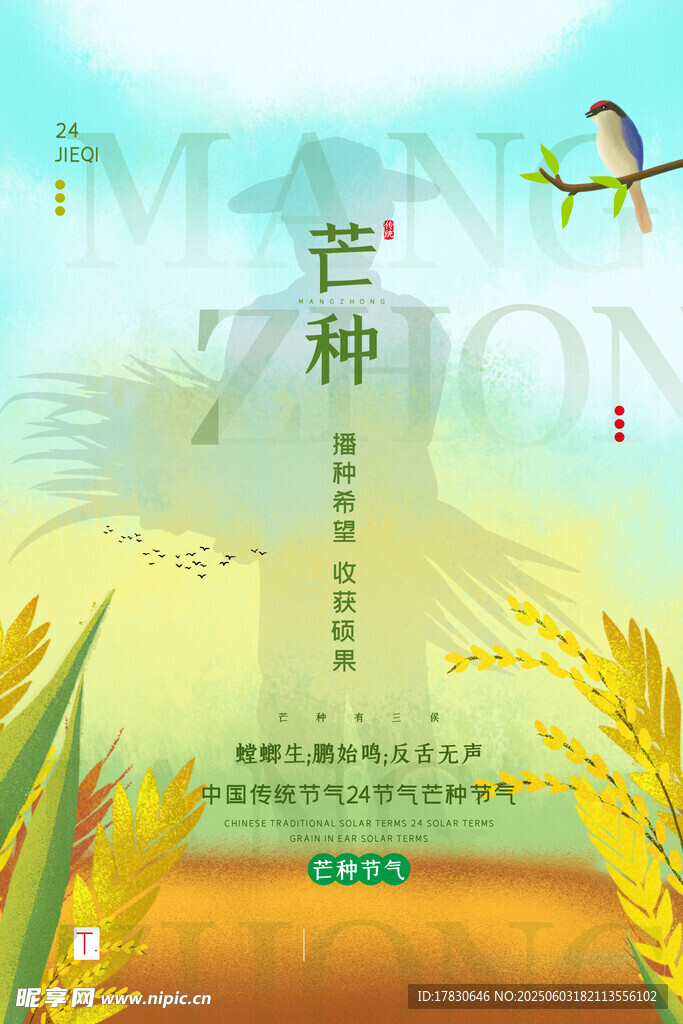 芒种海报
