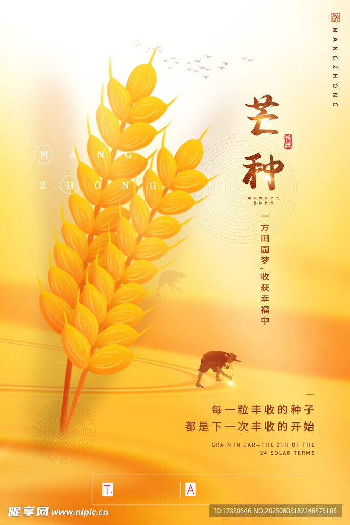 芒种海报