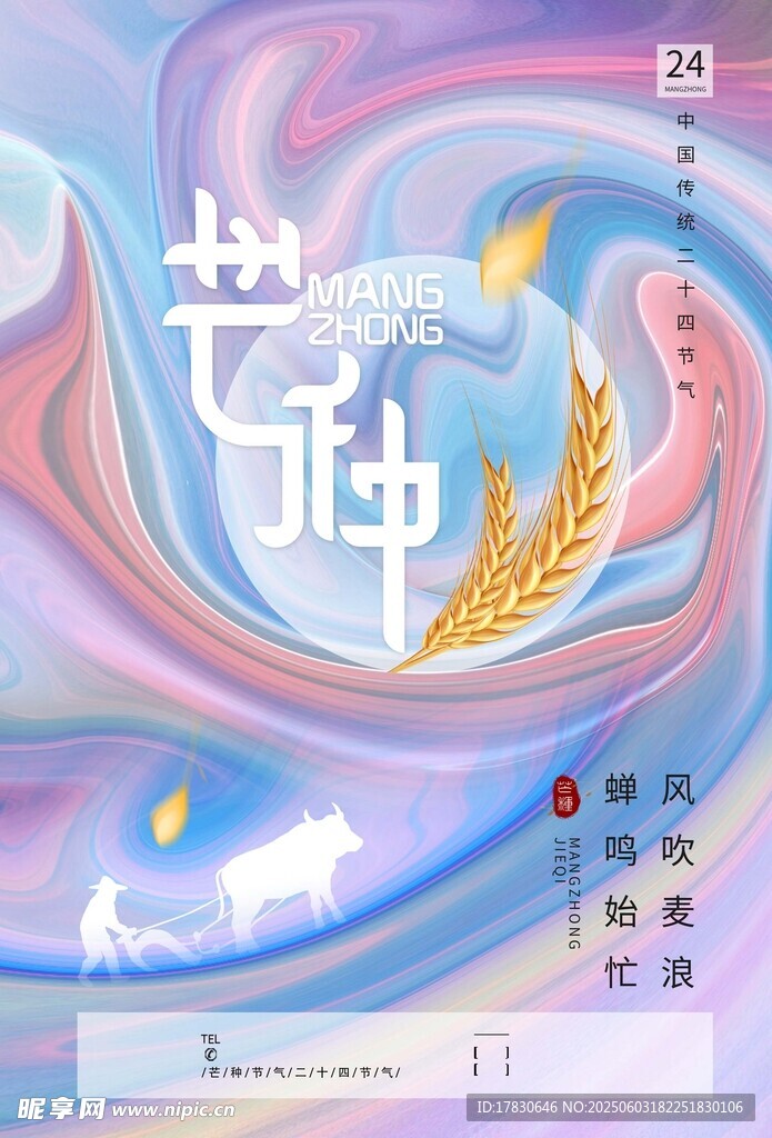 芒种海报
