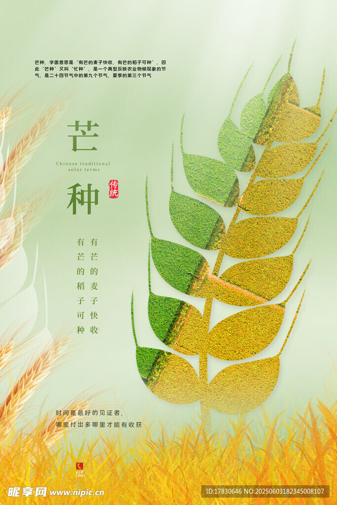 芒种海报