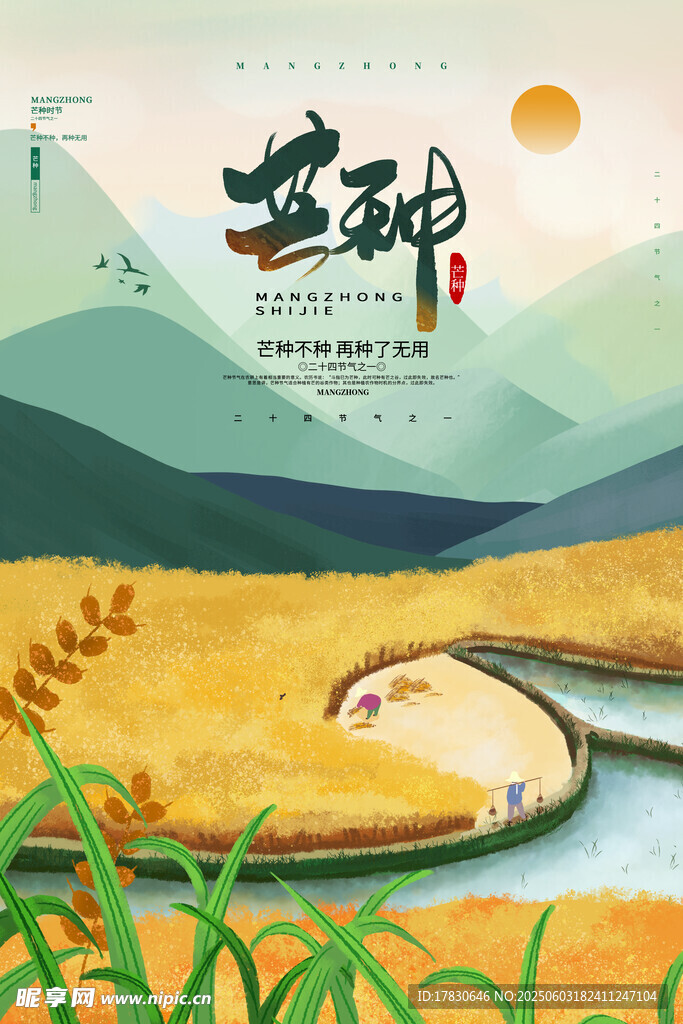 芒种海报