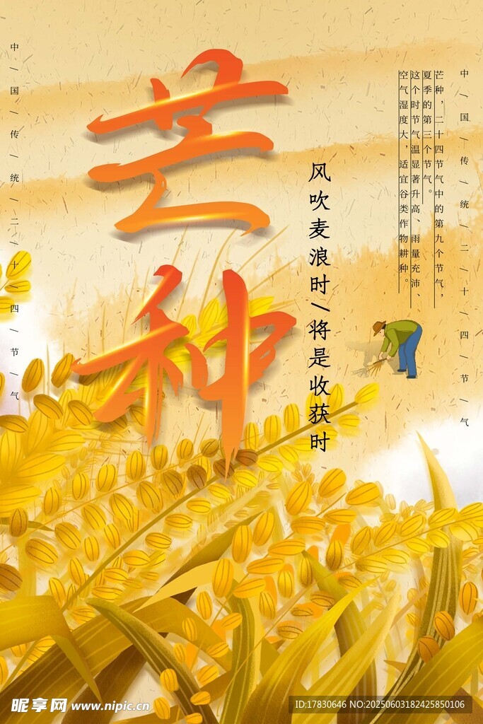 芒种海报