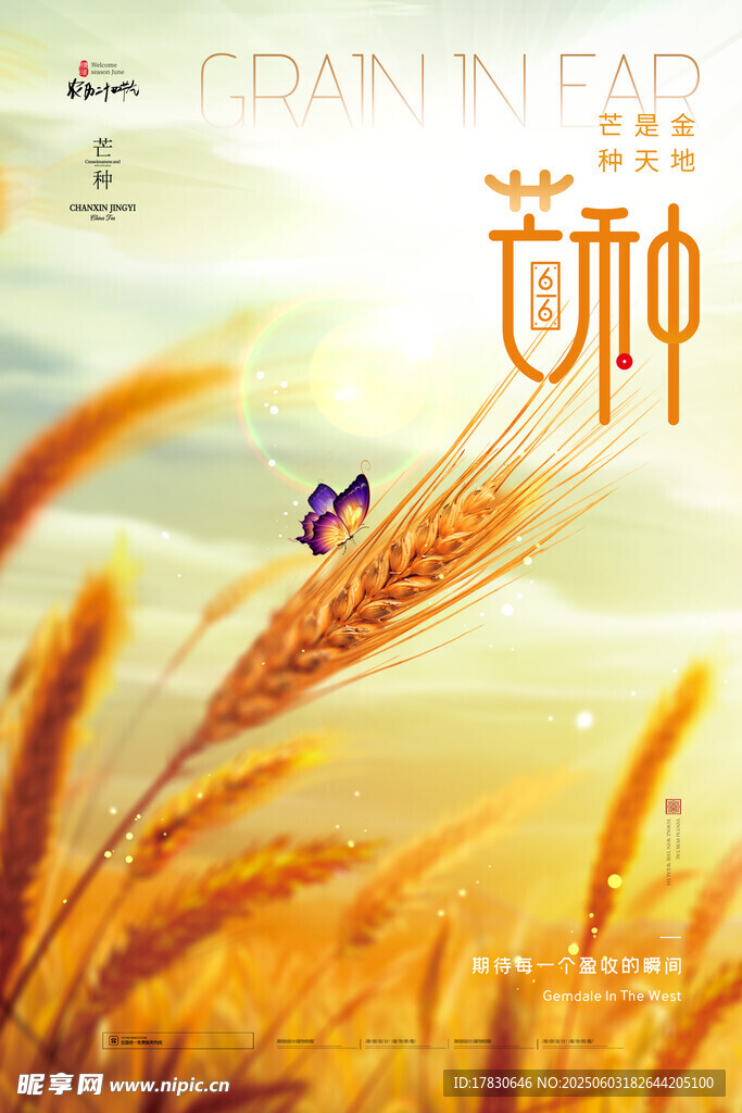 芒种海报