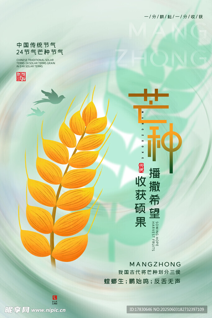芒种海报