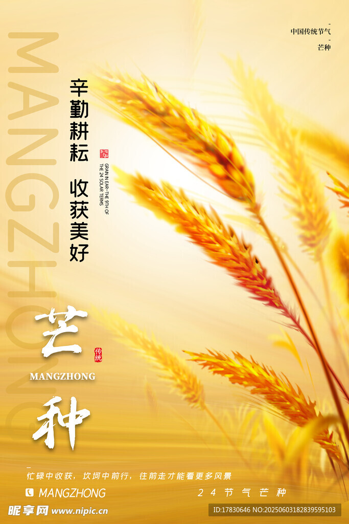 芒种海报