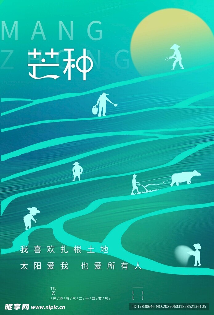 芒种海报