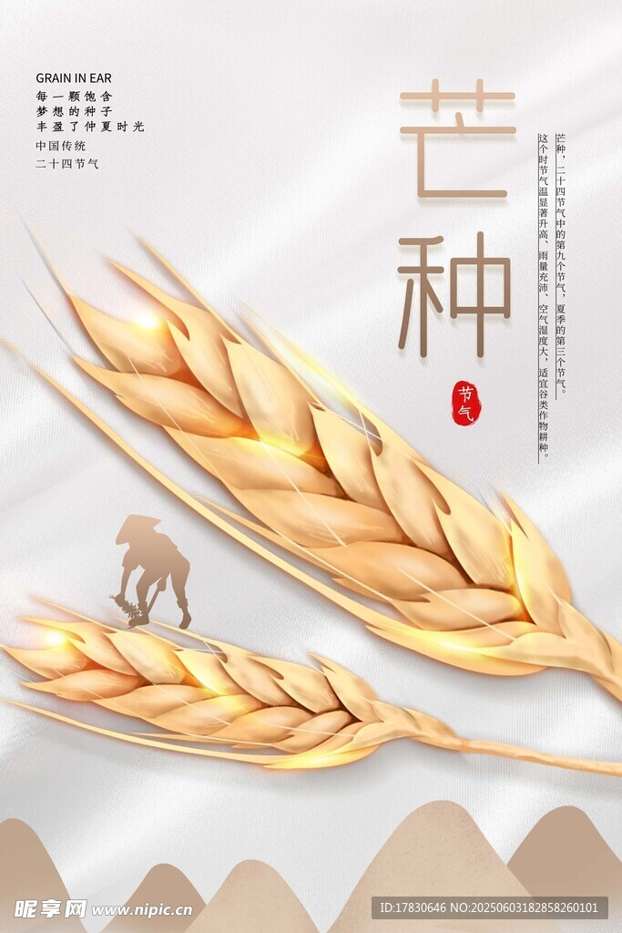 芒种海报