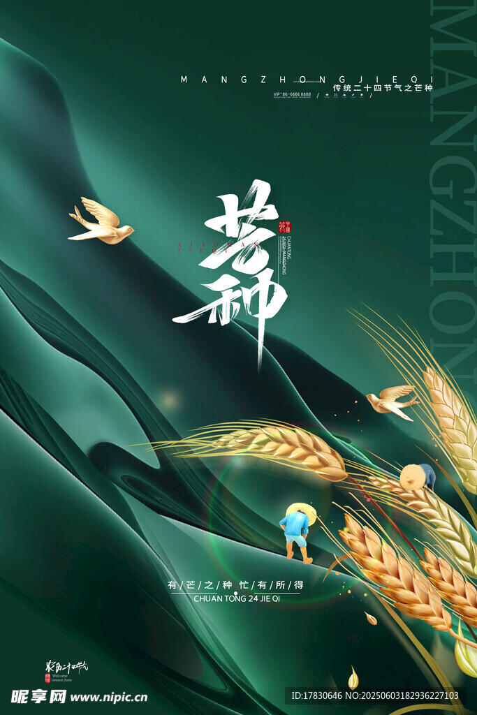 芒种海报