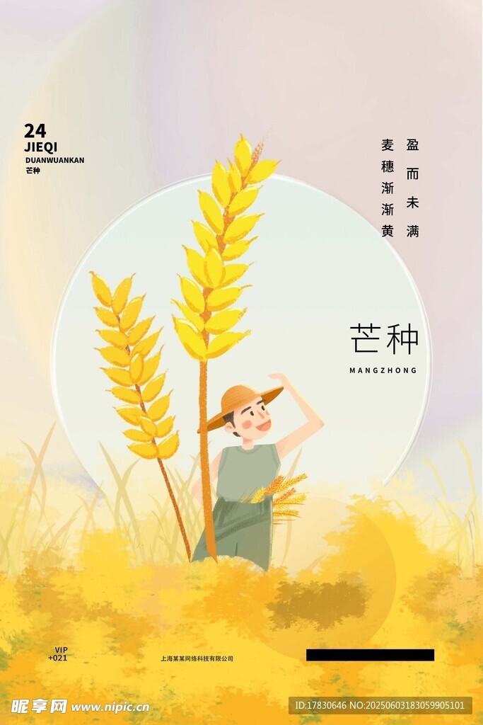 芒种海报