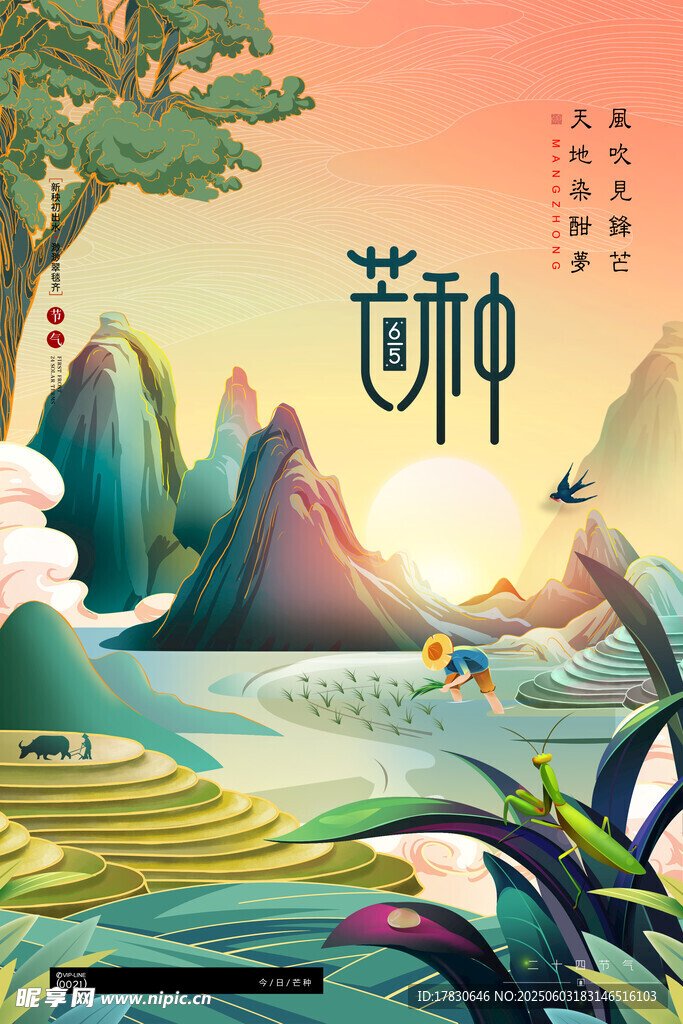 芒种海报