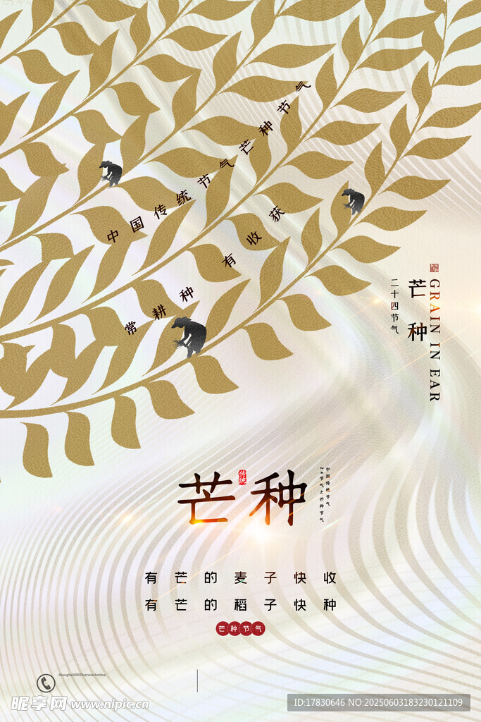 芒种海报