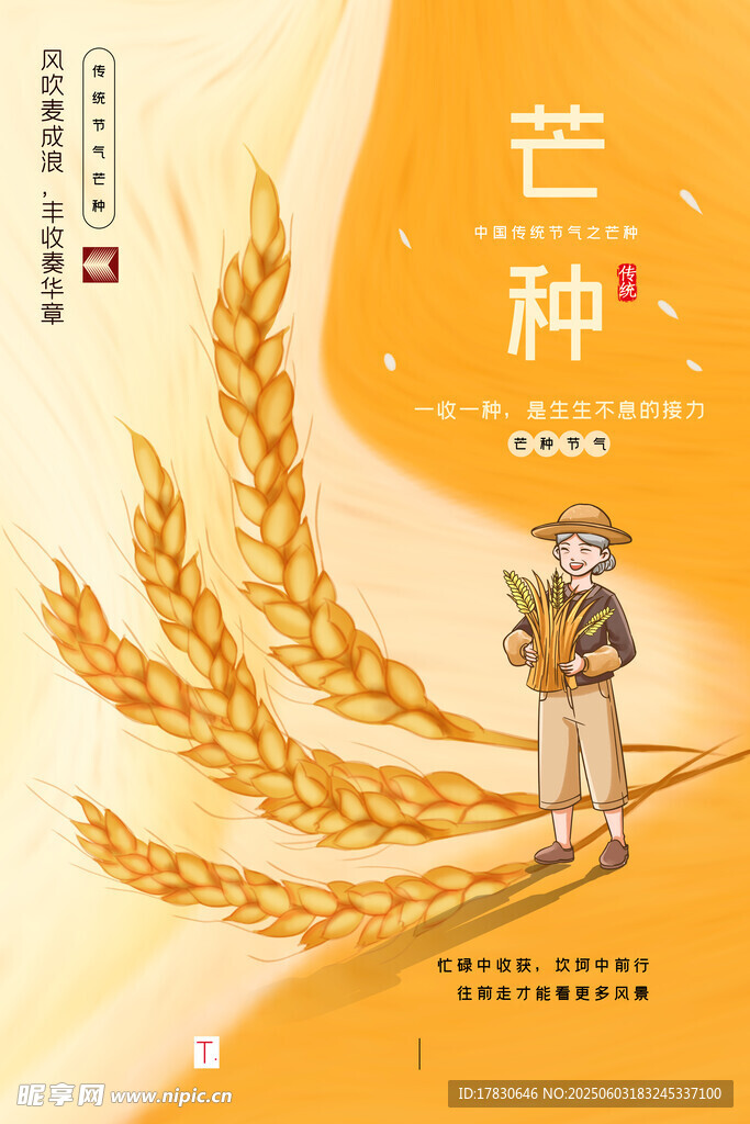 芒种海报