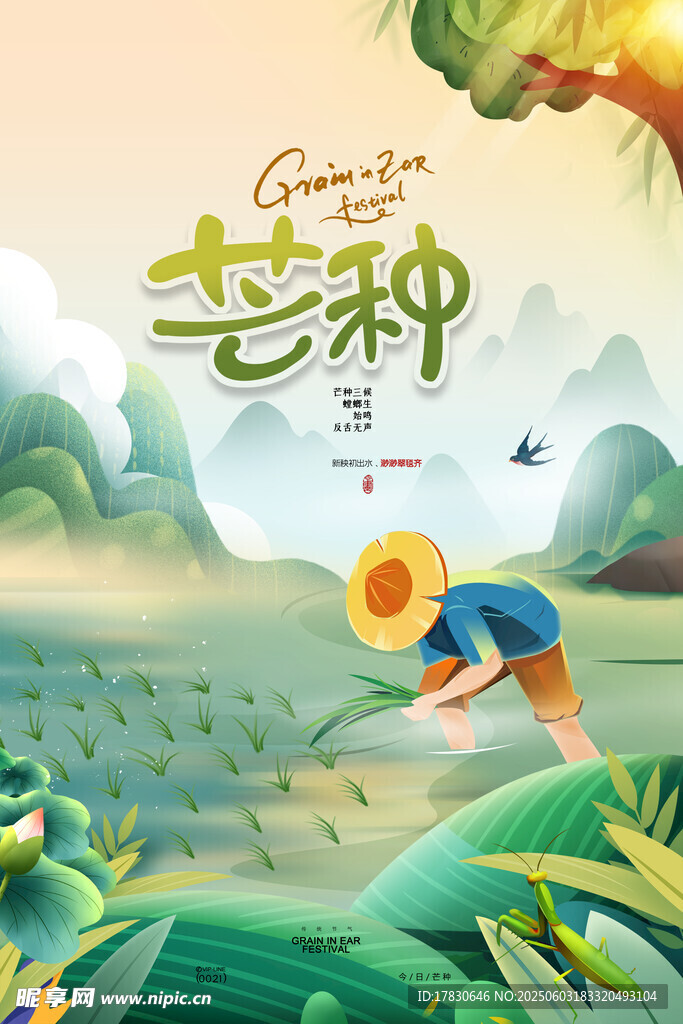 芒种海报
