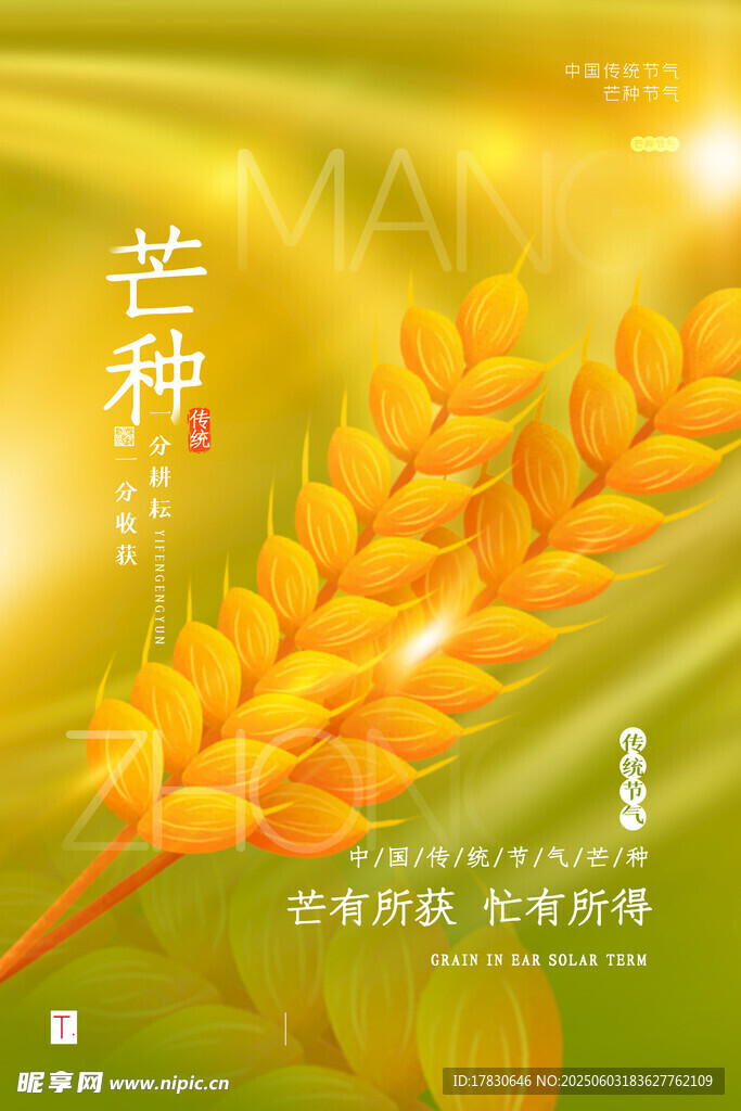芒种海报