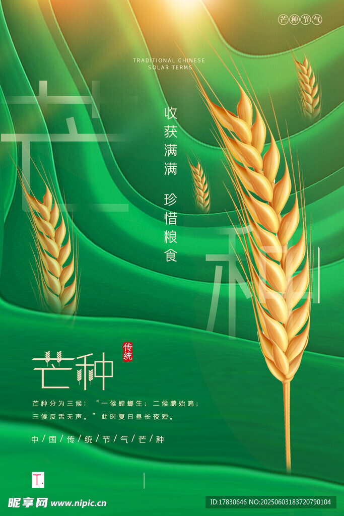 芒种海报