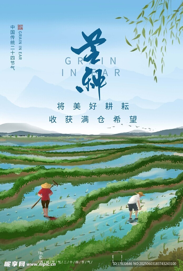 芒种海报