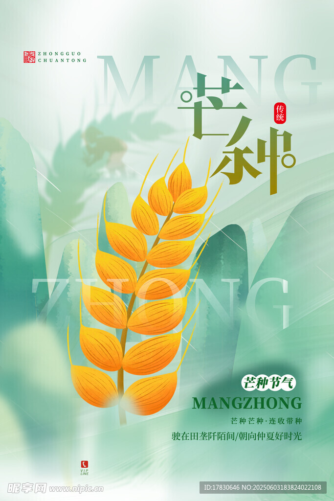 芒种海报