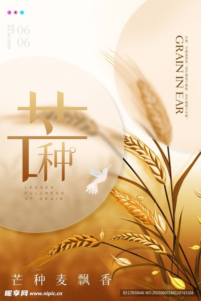 芒种海报
