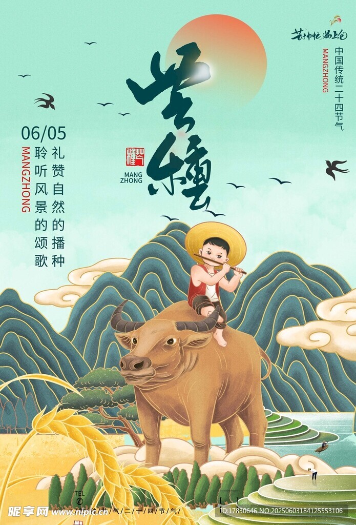 芒种海报