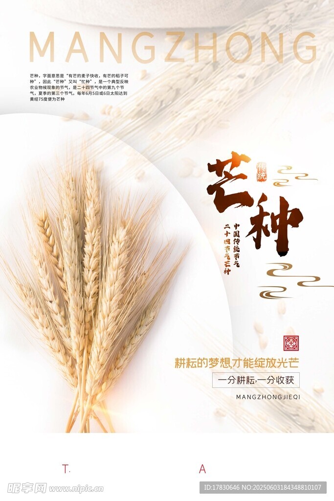 芒种海报