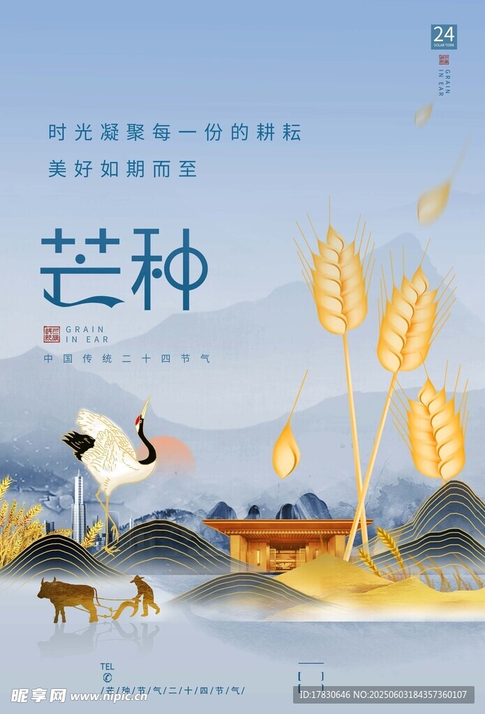 芒种海报